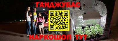 крисы Будённовск