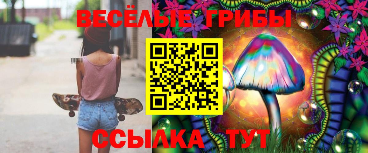 Новоалтайск  Псилоцибиновые грибы Cubensis  Вход с VPN 